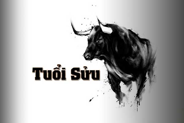 Tử vi hôm nay, xem tử vi 12 con giáp hôm nay ngày 2/2/2025